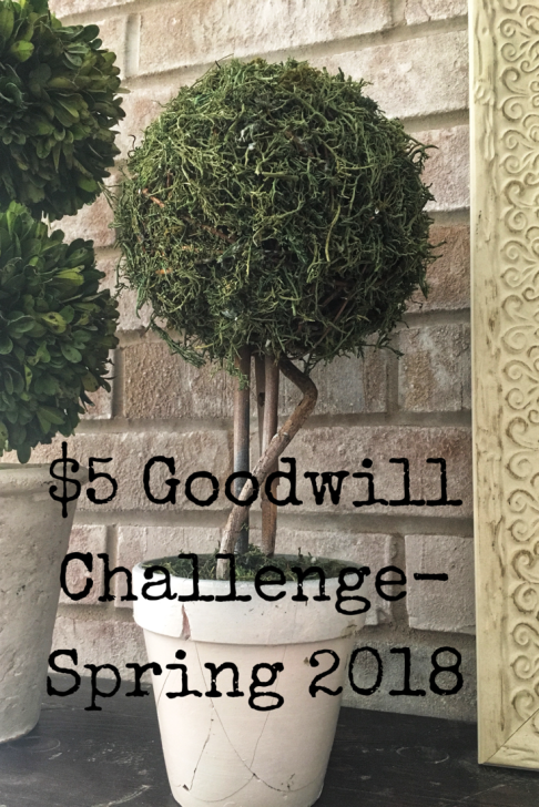 5 Goodwill Challenge- Spring 2018